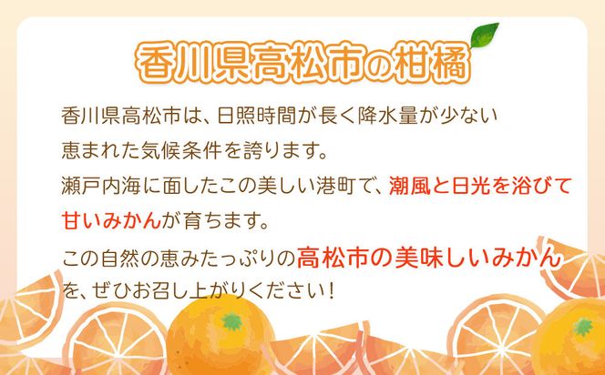 【先行予約】瀬戸内温州みかん　M～3Sサイズ　約2.5kg【2026年10月上旬～2027年1月下旬配送予定】 372013_T006-762J