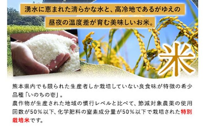 新米 令和6年産 特別栽培米 いのちの壱(白米) 10kg(5kg×2袋) 雑穀米付き《30日以内に出荷予定(土日祝除く)》 熊本県 南阿蘇村 熊本県産 虹色のかば 白米 雑穀米---sms_inci6_30d_24_25000_h10kg2---