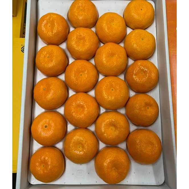 BF6032n_【2026年先行予約】ハウスみかん 化粧箱 約2.5kg 【ミカン 蜜柑 柑橘 温州みかん 有田みかん 贈答 ギフト 和歌山】