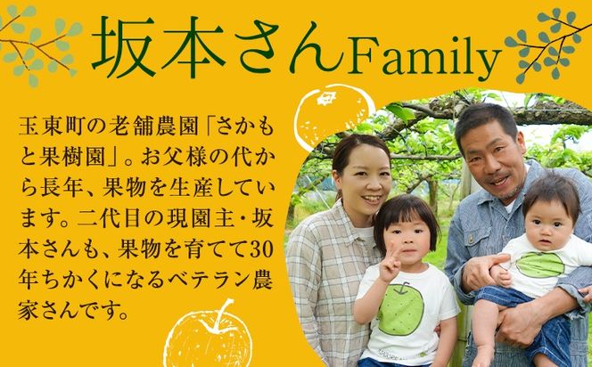 西南のひかり 約5kg さかもと果樹園《12月中旬-12月末頃出荷》熊本県 玉名郡 玉東町 みかん 柑橘 フルーツ 果物 ご家庭用 サイズミックス---gkt_skm_6_5kg---