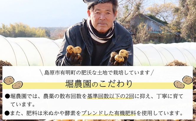 BH049 じゃがいも 希少品種 ながさき黄金 S～2Lサイズ混合 約10kg [ 野菜 芋 ジャガイモ 10キロ ほくほく 先行予約 常備野菜 サイズ混同 国産 贅沢宝庫 長崎県 島原市 ]