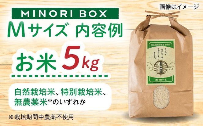 【全12回定期便】糸島産 肉 米 野菜 果物 厳選詰め合わせ MINORI BOX Mサイズ 糸島市 / emma.Inc / 米 肉 野菜 果物 詰め合わせ[AOP014]