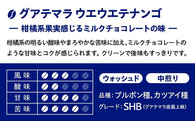 【自家焙煎】コクと深みのコーヒー 2種セット 糸島市 / 楽峰珈琲ロースター / コーヒー / セット[ALR002]
