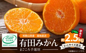 ZE6480_【2026先行予約】有田みかん 約2.5kg 【家庭用】 (S～Lサイズ混合)【まごころ手選別】