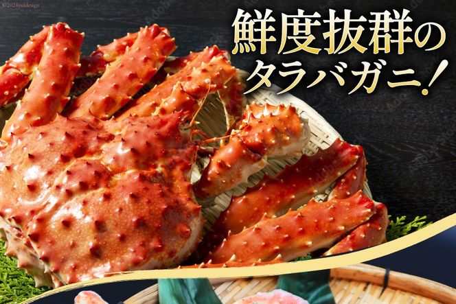 かに【2025 年内配送】 本 タラバガニ 脚 スリット入 約1.3kg 極太6Lサイズ ボイル済 [カネダイ 宮城県 気仙沼市 20564363] カニ かに 蟹 たらばがに たらば蟹 タラバ蟹 たらば タラバ ボイル 訳あり