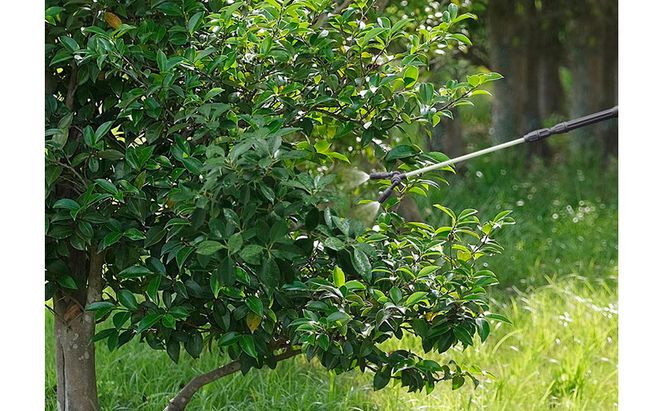 電池式噴霧器 ツインノズルIR-4W ダークグレー 噴霧器 4L 電池式 散布 アイリスオーヤマ 噴霧機  タンク ノズル 除草 園芸 消毒 除草剤 庭 電池 噴霧 噴射 薬剤 薬品 撒き 電動 家庭用 肩掛け 背負式 液肥撒き 除草剤散布 液肥散布 液肥 雑草防止