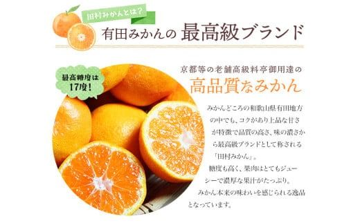 【先行予約受付中！】高級みかん ブランド 田村みかん 10kg ※2026年11月下旬～2027年1月下旬頃に順次発送予定（お届け日指定不可） 有田みかんの最高峰 / みかん ミカン 柑橘 フルーツ 果物 甘い 和歌山 柑橘類 【uot505A】