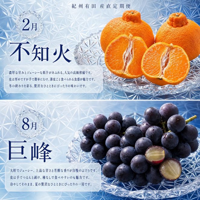 【2・8・9・12月 全4回】紀州産 巨峰とフルーツ定期便（巨峰・梨・みかん・不知火） 【魚鶴】AN041