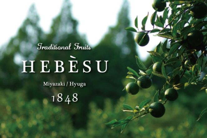 【期間限定発送】 採れたてへべす 2kg [かくちゃん農園 宮崎県 日向市 452060674] 果物 柑橘 へべす 平兵衛酢 ヘベス 期間限定 数量限定 果汁 香酸柑橘 調味料 宮崎 ビタミンC アミノ酸 国産 種が少ない