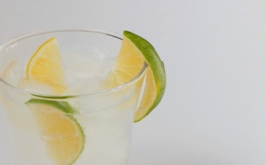 はぎファームのマイヤーレモン 5kg 【2025年10月～2026年1月下旬の期間で順次発送】 / レモン 国産 マイヤー【hgf002A】