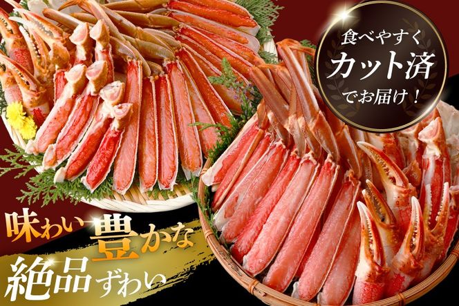 かに カット済 生 ずわいがに むき身 セット 総重量 1.5kg (正味重量1.2kg) 2-3Lサイズ [カネダイ 宮城県 気仙沼市 20565690] かに カニ ズワイガニ ずわい ズワイ 蟹 棒肉 ポーション かに鍋 かにしゃぶ 生ずわい