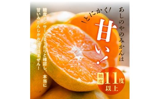 ZE6517_【2026年先行予約】【家庭用】和歌山県産　有田みかん 約2kg (S～Lサイズ混合)【まごころ手選別】