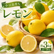 レモン 小豆島 瀬戸内 約3kg 15～30玉 小豆島育ち 島育ち まろやか 酸味 潮風 ミネラル 国産レモン 檸檬 柑橘 柑橘類 果物 フルーツ くだもの 果物類 果実 生鮮 レモネード レモンティー はちみつレモン ギフト 贈答用 五色青果 香川 土庄 香川県 土庄町