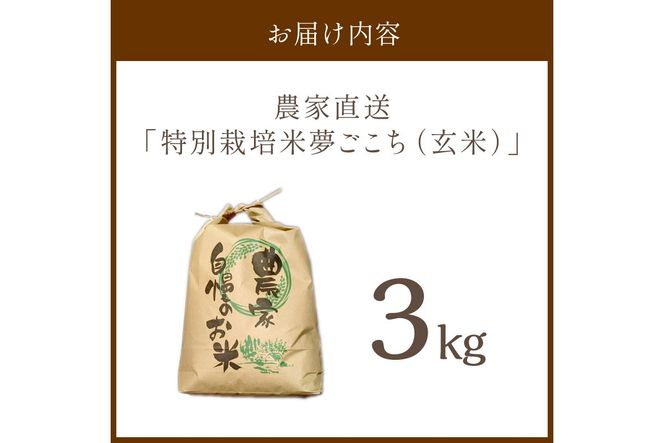 2025年産 京都・京丹後峰山 特別栽培米夢ごこち 3kg 【玄米】　MF00062