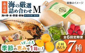 【全6回定期便】糸島産 魚 米 野菜 果物 厳選詰め合わせ MINORI BOX Mサイズ 糸島市 / emma.Inc / 米 魚 野菜 果物 詰め合わせ[AOP025]