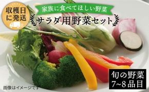 朝採れ！【 栽培 期間中、 農薬・化学肥料不使用 】 サラダ用 糸島 野菜 セット 《糸島》【オーガニックナガミツファーム】         [AGE002]