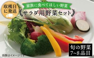 朝獲れ！栽培期間中、農薬・化学肥料不使用 プレミアムサラダ用糸島野菜セット(オーガニックナガミツファーム)[AGE002] 野菜セット 野菜 やさい サラダ 詰め合わせ トマト とまと 野菜野菜セット 野菜やさい 野菜サラダ 野菜詰め合わせ 野菜トマト 野菜とまと 野菜ベビーリーフ 野菜水菜 野菜ハーブ 野菜オクラ 野菜人参 野菜にんじん 野菜ニンジン 野菜ほうれん草 野菜クレソン 野菜かぼちゃ 野菜カボチャ