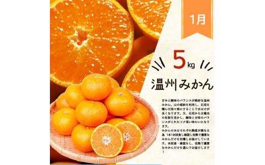 【全3回】紀州和歌山産旬の柑橘定期便(みかん・不知火・清見オレンジ)【tkb384】
