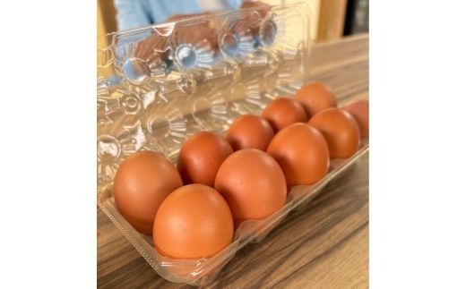 たかはし農園の放し飼い 黒鶏 ネラのたまご 10個×2 計20個 《京都 丹波産 放し飼い 希少 自然卵 平飼い 卵 有精卵 贈り物 ギフト 産地直送 健康食品 贈答》 