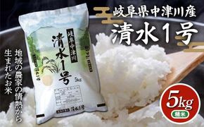 岐阜県中津川産 お米 清水1号 5Kg 米 お米 コメ ごはん ご飯 食品 F4N-2574