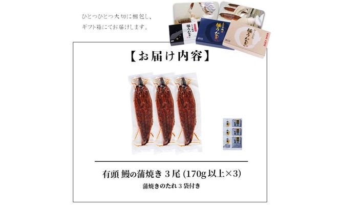 【ギフト対応】楠田の極うなぎ　蒲焼き170ｇ以上×3尾(計510ｇ以上） b2-018