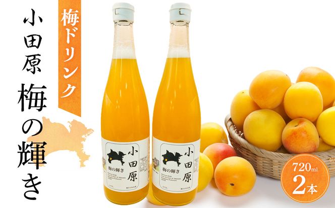小田原 梅の輝き720ML瓶（梅ドリンク）2本セット【 飲み物 ドリンク 神奈川県 小田原市 】 142069_HR001