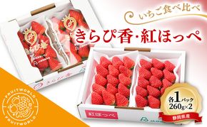 JA遠州中央 いちご食べ比べ きらぴ香 紅ほっぺ いちご 各1パック 260g×2 遠中 静岡県 静岡 袋井市 袋井 イチゴ 苺 贈答 フルーツ 果物 くだもの 人気
