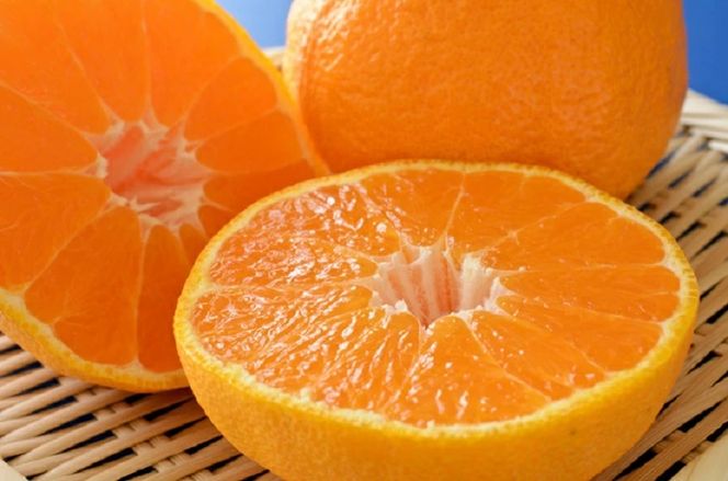 【大人気】和歌山 有田の濃厚 大玉 デコポン　12～15玉(約5kg) / みかん 蜜柑 フルーツ 果物 デコポン 不知火 ※2027年1月下旬～3月下旬頃に順次発送 【ard010-noko-l5A】