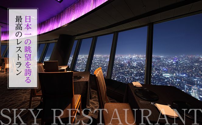 ディナー 【有効期間6か月】東京スカイツリー（R） ペア利用券 Sky Restaurant 634 「鉄板粋」コース 食事券 天望デッキ 入場券付き コース レストラン 墨田区