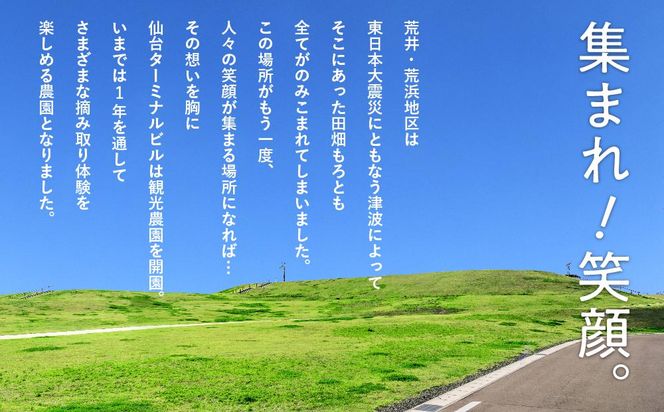 旬の果物摘み取り体験チケット　1回5,000円分　【チケット 券 】 041009_EK001