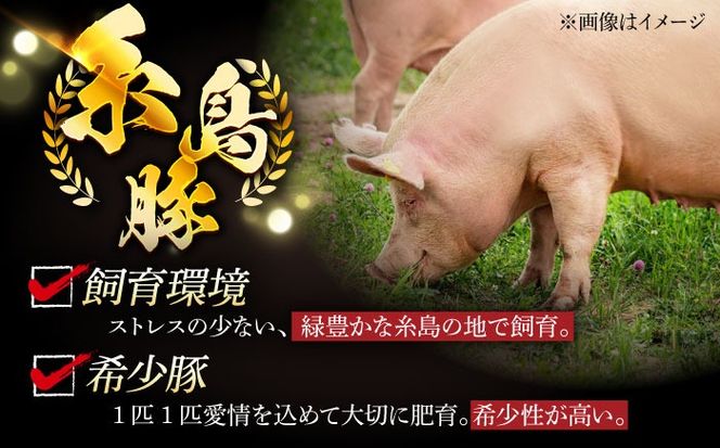 【全12回定期便】合計4.6kg！糸島豚食べ尽くしセット(とんかつ、肩ロース、しゃぶしゃぶ、豚バラ、スペアリブ、小間切れ) 糸島市 / トラヤミートセンター 豚肉 セット[AJD024]