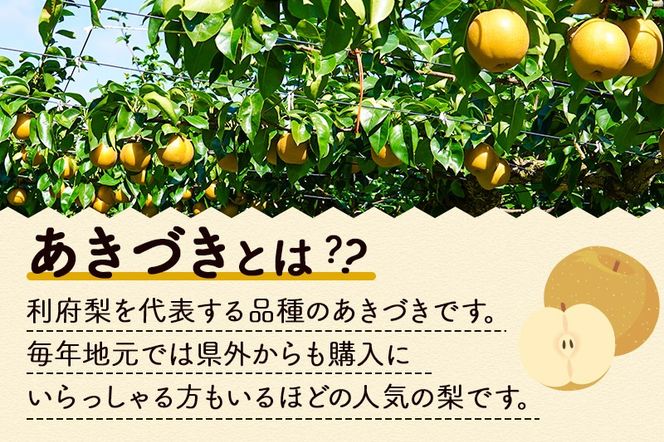 梨 数量限定 利府梨（あきづき）約5kg（10玉前後）先行受付 [先行予約 ブランド フルーツ 人気 有機肥料のみ 果物 美味 おいしい 宮城県 利府町 高橋梨園]|06_tne-010501