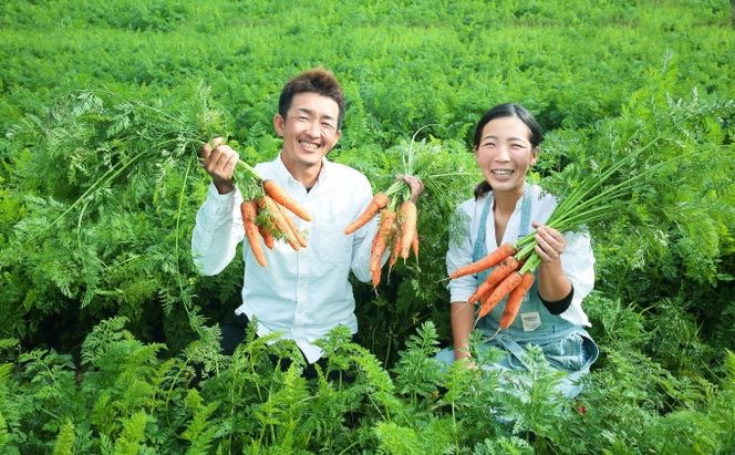 訳あり 規格外 にんじん 約10kg 有機JAS認証取得 栽培期間中農薬 除草剤 化学肥料不使用 野菜 食材 緑黄色野菜 国産野菜 えぐみがない 甘い人参 産地直送 キャロット ベジタブル 