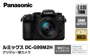 パナソニック デジタルカメラ ルミックス DC-G99M2H【 デジタルカメラ 大阪府 門真市 】 272230_CT005