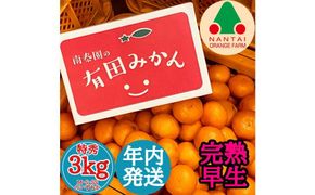 年内発送 完熟早生 有田みかん 特秀 M ～ SS サイズ 3kg 和歌山 南泰園 BS633