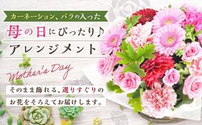 【先行予約】母の日におすすめな、カーネーション、バラの入った豪華アレンジメント！！ 【2026年5月7日～9日まで発送予定】 母の日 アレンジメント 花 器 贈り物 ギフト カーネーション バラ
