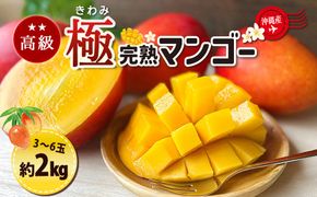 高級マンゴー　極２kg 【熱帯資源植物研究所】