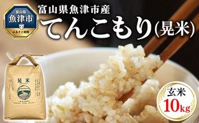 【令和8年度米】【農家直送】環境配慮「魚津のてんこもり（晃米）」10kg（玄米） ｜新米 MK農産 玄米 銘柄米 ご飯 おにぎり お弁当 和食 主食 国産 産地直送 甘み 香り もちもち ※2026年11月～発送