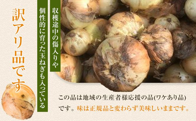 ［2026年発送分・先行予約］訳あり 農家さん直送 低農薬玉ねぎ 4kg程度 S～2L混合［4月中旬～7月中旬頃発送予定］ご家庭用 ※傷有り［KF19］ 303446_BE90024
