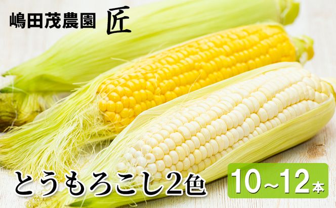 [先行受付] 北海道 仁木町産 新鮮 とうもろこし 2色セット【10～12本】 野菜 トウモロコシ コーン [株式会社 嶋田茂農園匠]