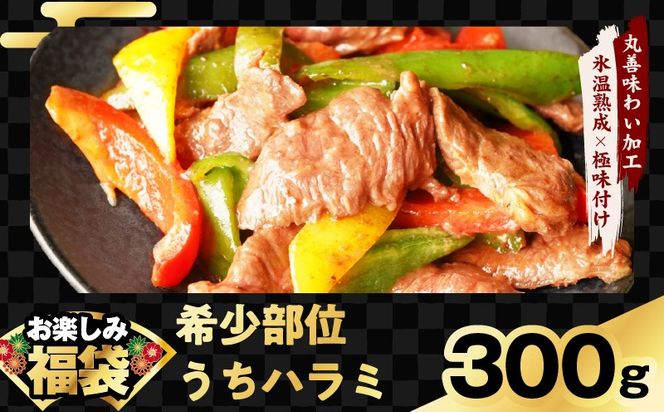 mrz0327 肉福袋 4種 1.9kg 焼肉セット（牛肉 切り落とし／牛ハラミ／豚肉 スペアリブ／鶏肉）【氷温熟成×極味付け 焼くだけ 食べ比べ ふくぶくろ お楽しみ 簡単調理】