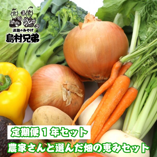 【定期便１年セット】農家さんと選んだ畑の恵みセット　野菜詰め合わせ