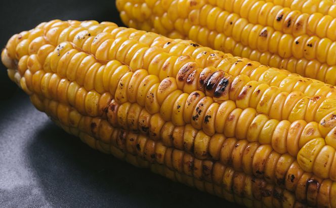 【2026年夏発送】とうもろこし ゴールドラッシュ 10本 北海道 富良野産 とうきび コーン
