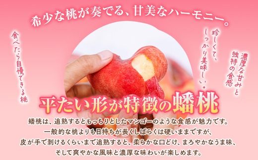 ◆2025年夏発送◆＜ 蟠桃・約2kg ＞  ※離島への配送不可 ※2025年7月下旬～8月中旬頃に順次発送予定