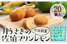 月うさぎの佐伯マリンレモン (計20個) レモン レモンケーキ スイーツ スウィーツ 菓子 焼き菓子 洋菓子 おやつ セット 個装 大分県 佐伯市【ER004】【(株)古川製菓】