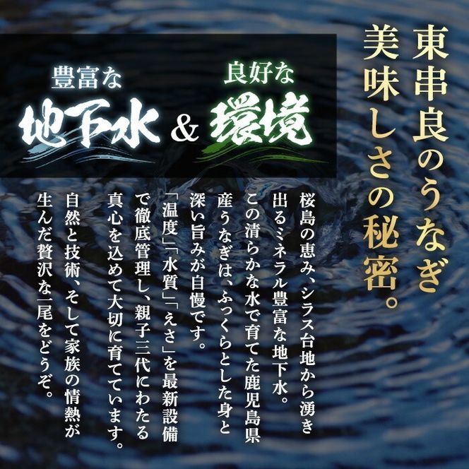 【0204348a-2608】＜8月上旬発送予定＞東串良町のうなぎ蒲焼(無頭)(4尾・計約600g・タレ、山椒付) うなぎ 高級 ウナギ 鰻 国産 蒲焼 蒲焼き たれ 鹿児島 ふるさと 人気 【アクアおおすみ】