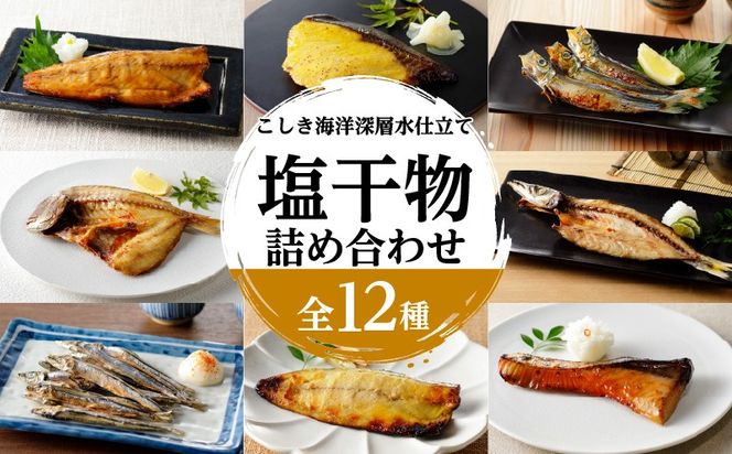こしき海洋深層水仕立て 塩干物 12種 詰め合わせ（FS-02）　K065-002