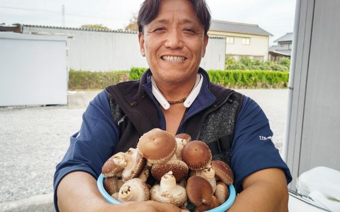 乾燥椎茸＆つぶつぶ乾燥しいたけ3種 【ちいさなキノコ園】 干ししいたけ 乾ししいたけ 国産 【配達不可：離島】[AEAS001]