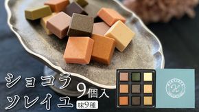 ショコラソレイユ 9種 チョコレート チョコ スイーツ デザート 高級 ギフト 贈り物 お礼 プレゼント 手土産 お菓子 [DJ07-NT]
