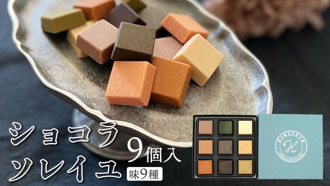 y錧΂݂炢szVR\C 9 `R[g `R XC[c fU[g  Mtg 蕨  v[g yY َq [DJ07-NT]